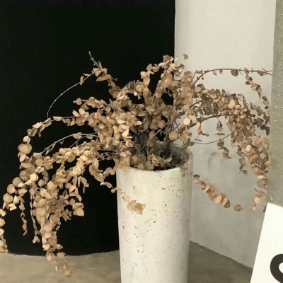 兽设场景透视教程兽圈群